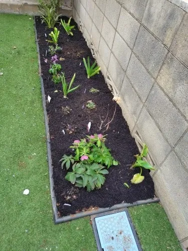 半日陰の植栽